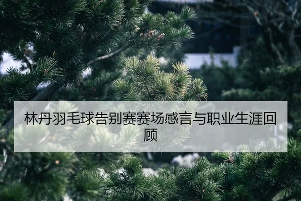 lin-dan-yu-mao-qiu-gao-bie-sai-sai-chang-gan-yan-yu-zhi-ye-sheng-ya-hui-gu-2-922.jpg